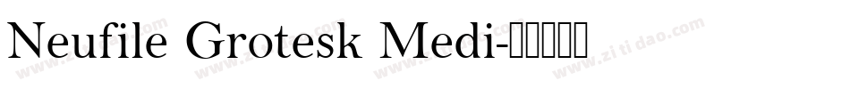 Neufile Grotesk Medi字体转换